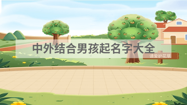中外结合男孩取名大全