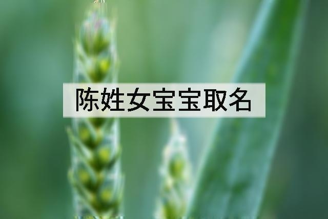 陈姓女宝宝起名