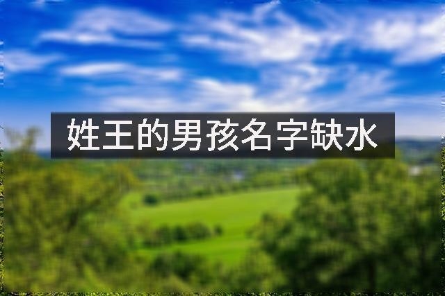 王姓五行属水的男宝宝起名