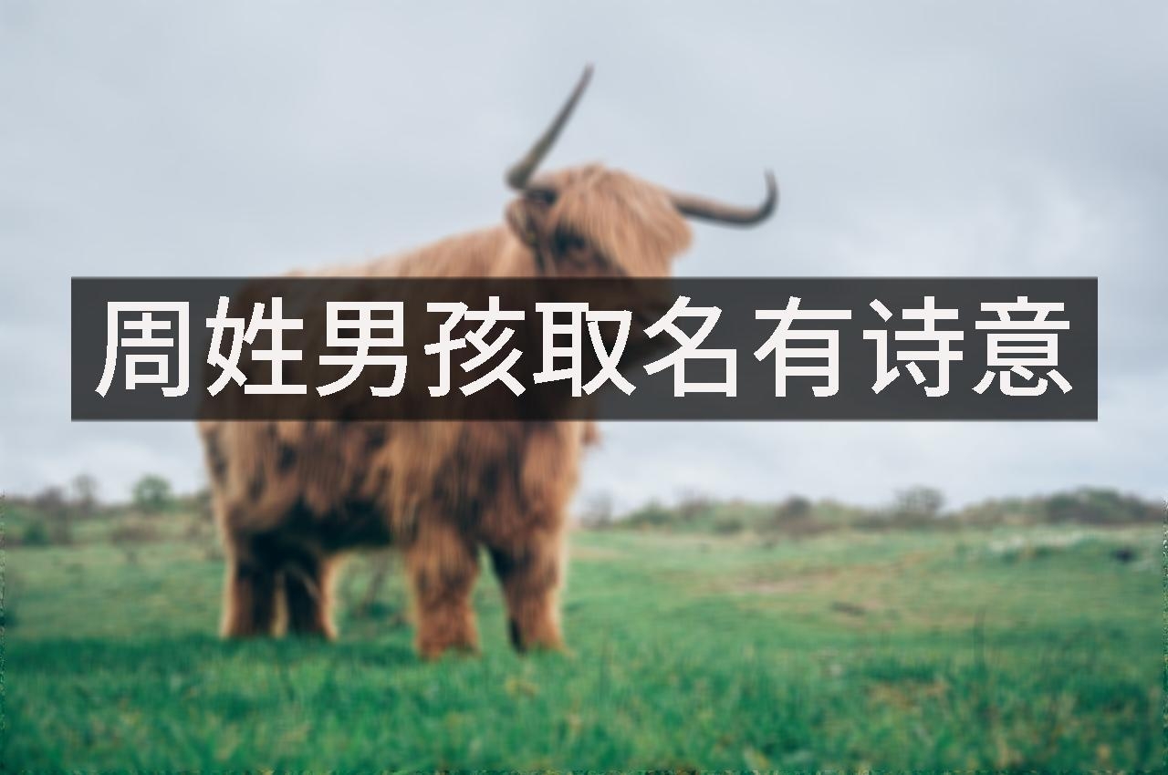 周姓男孩取名有诗意
