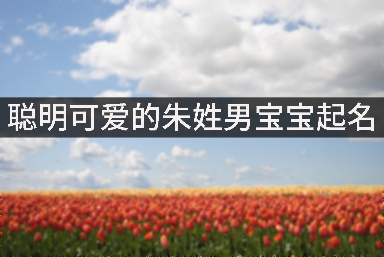 聪明可爱的朱姓男宝宝起名