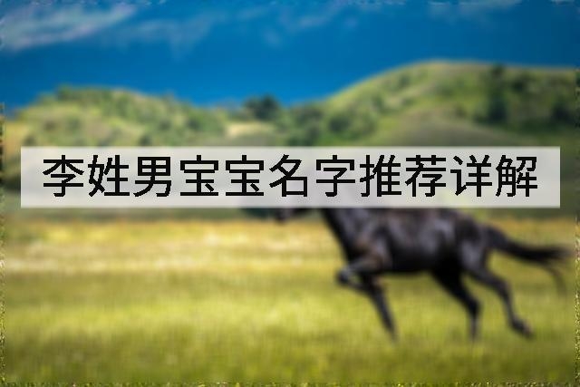 李姓男宝宝名字推荐详解