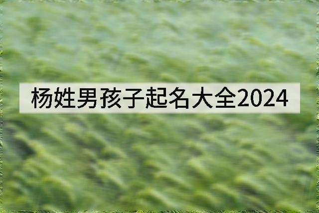杨姓男孩子起名大全2024