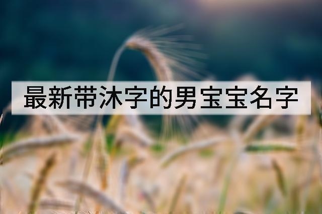 最新带沐字的男宝宝名字