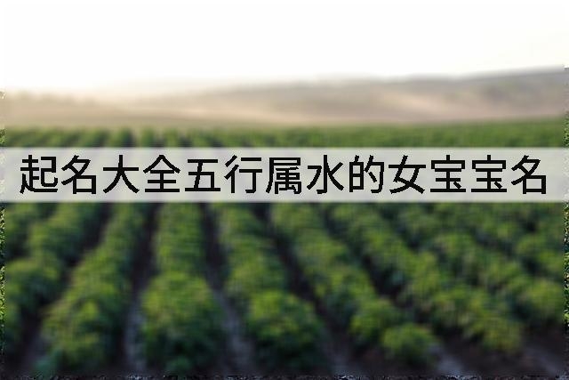 起名大全五行属水的女宝宝名