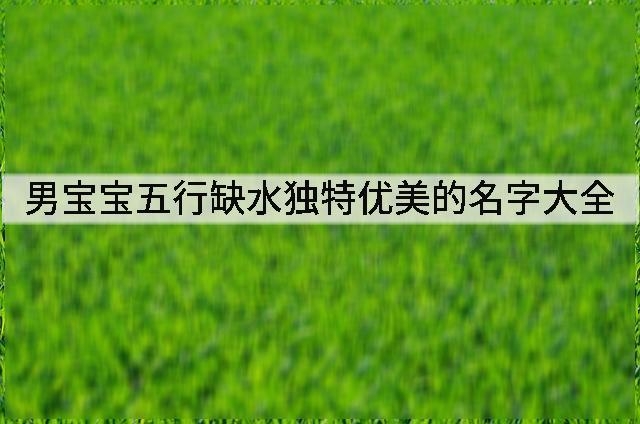 男宝宝五行缺水独特优美的名字大全