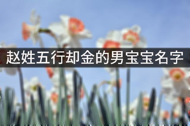 赵姓五行却金的男宝宝名字