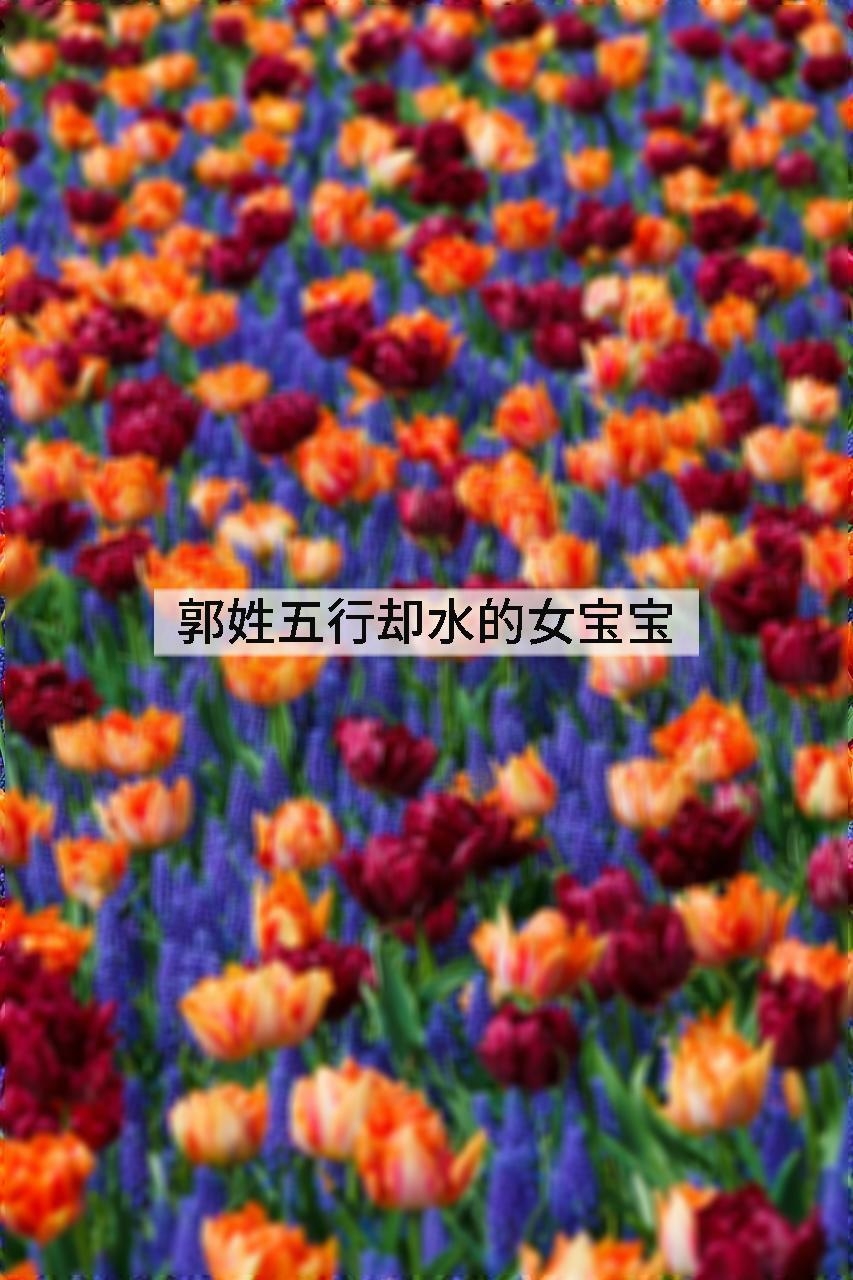 郭姓五行却水的女宝宝