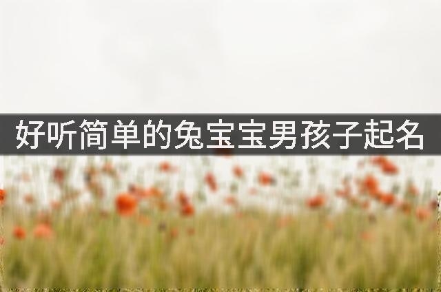 好听简单的兔宝宝男孩子起名