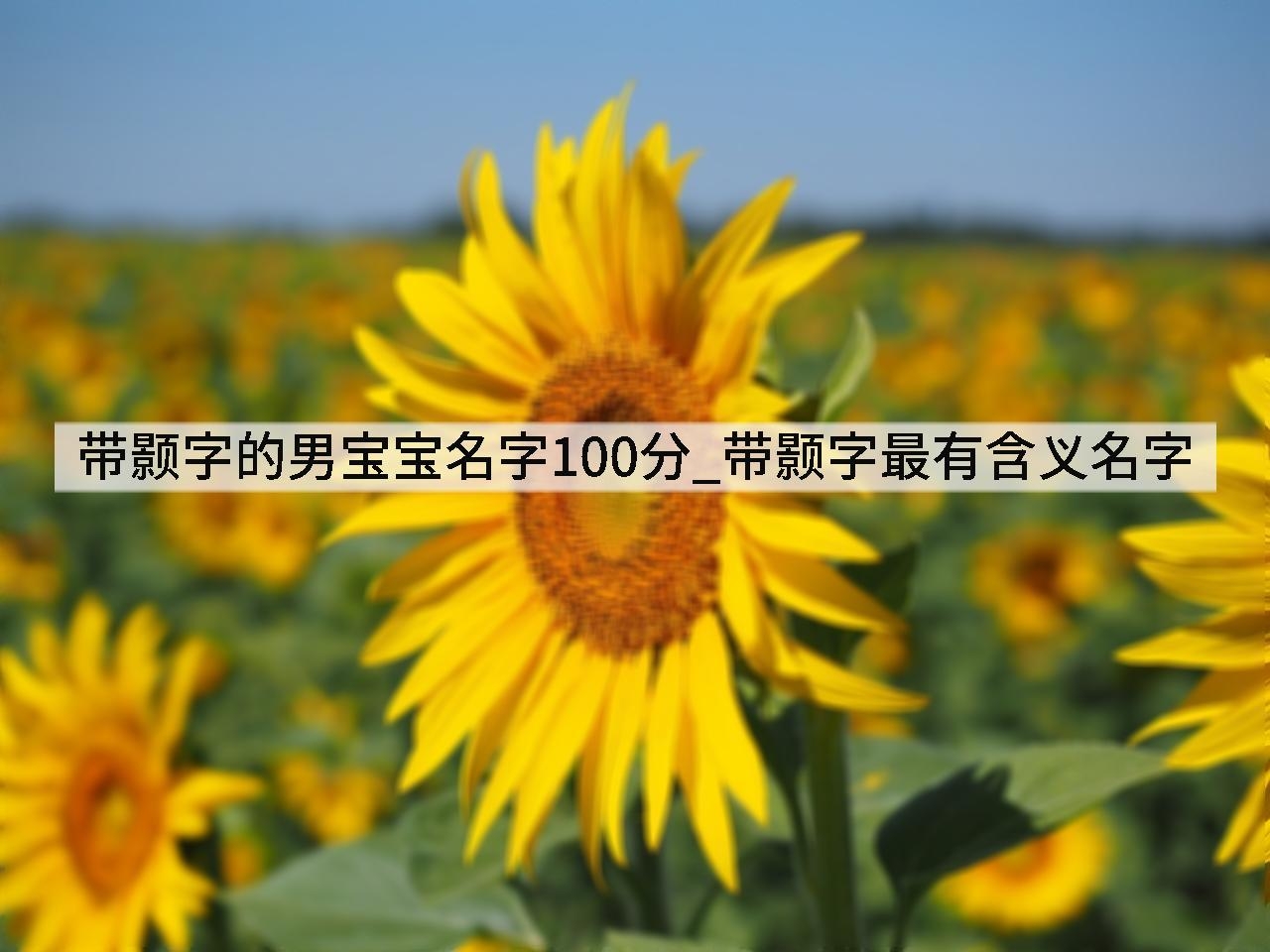 带颢字的男宝宝名字100分_带颢字最有含义名字