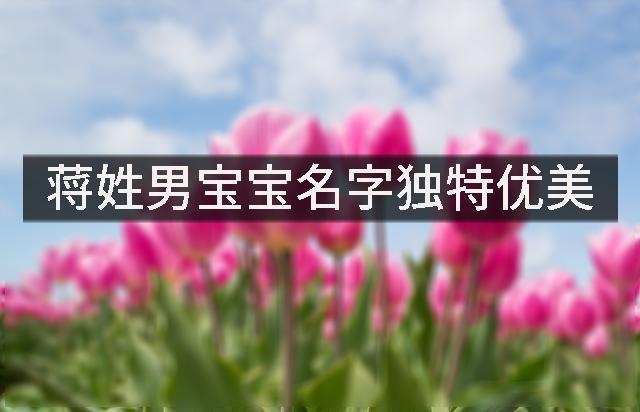 蒋姓男宝宝名字独特优美