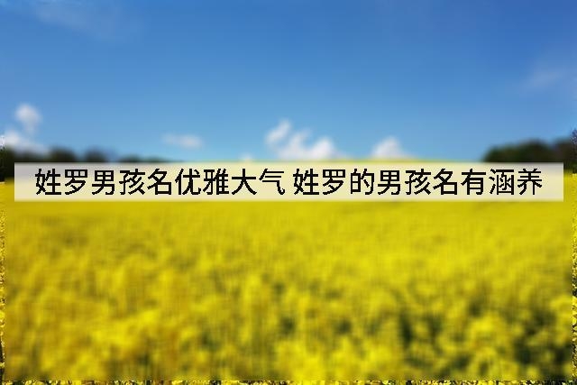 姓罗男孩名优雅大气 姓罗的男孩名有涵养
