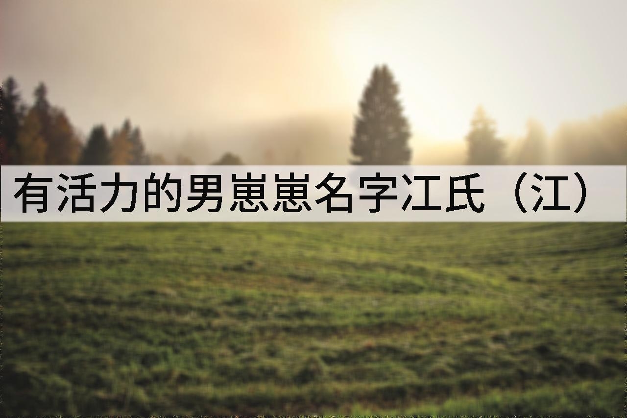 有活力的男崽崽名字冮氏(江)