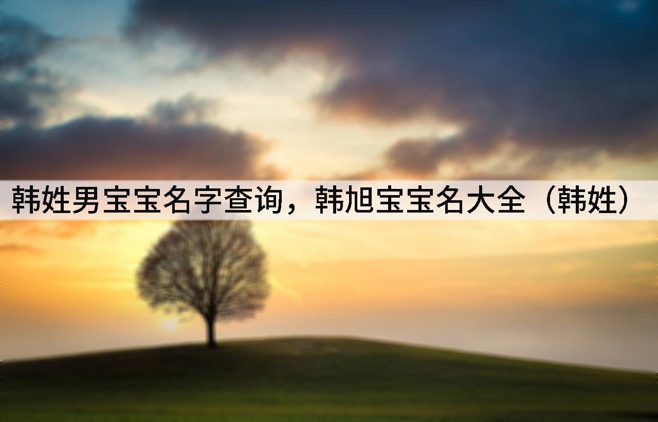 韩姓男宝宝名字查询,韩旭宝宝名大全(韩姓)