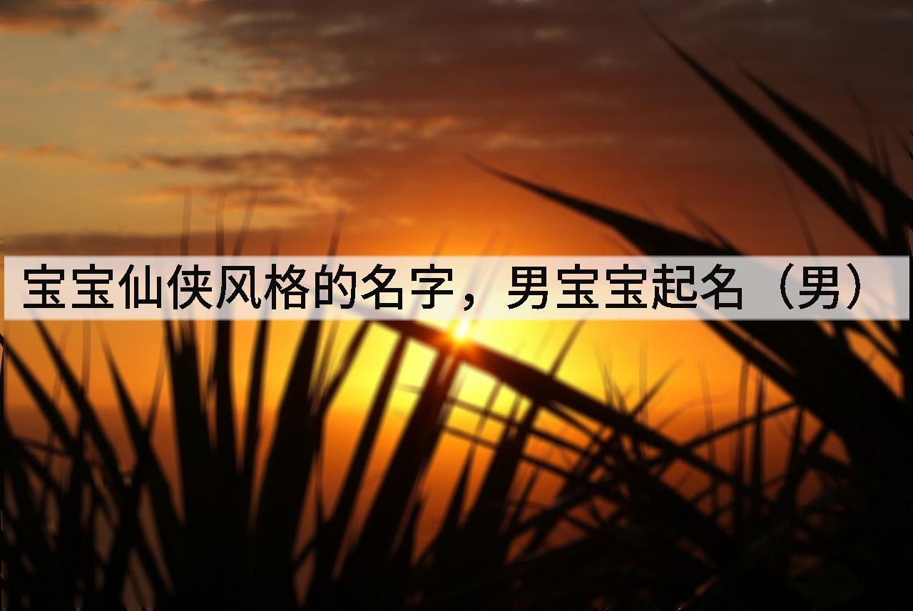 宝宝仙侠风格的名字,男宝宝起名(男)
