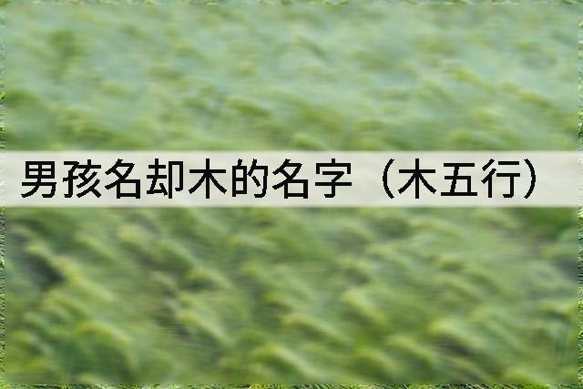男孩名却木的名字(木五行)