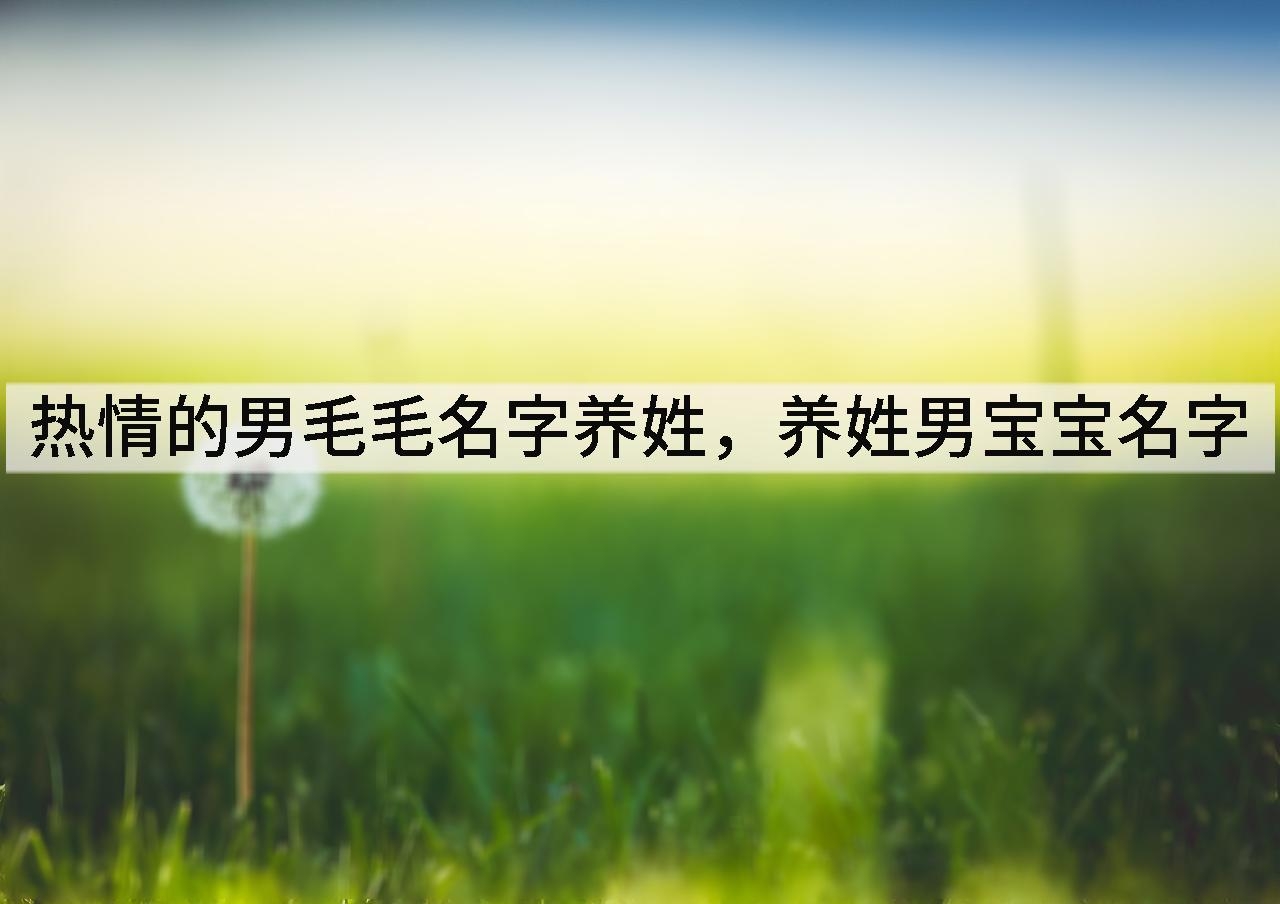 热情的男毛毛名字养姓,养姓男宝宝名字