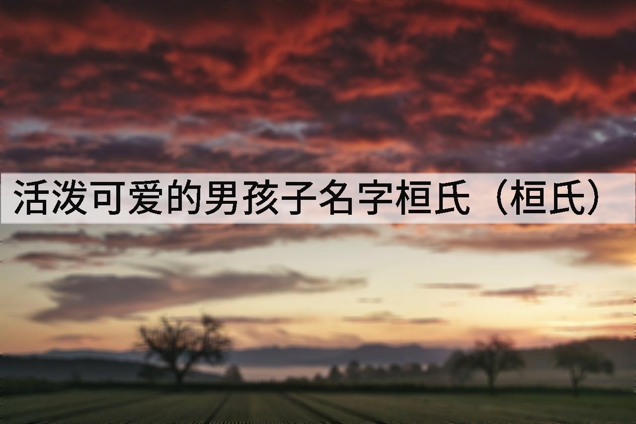 活泼可爱的男孩子名字桓氏(桓氏)