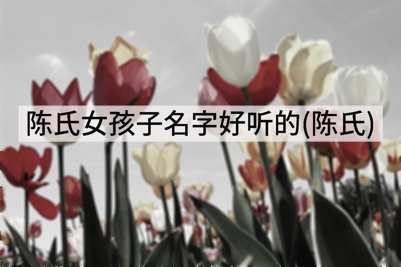 陈氏女孩子名字好听的(陈氏)