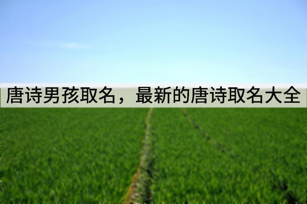 唐诗男孩取名,最新的唐诗取名大全