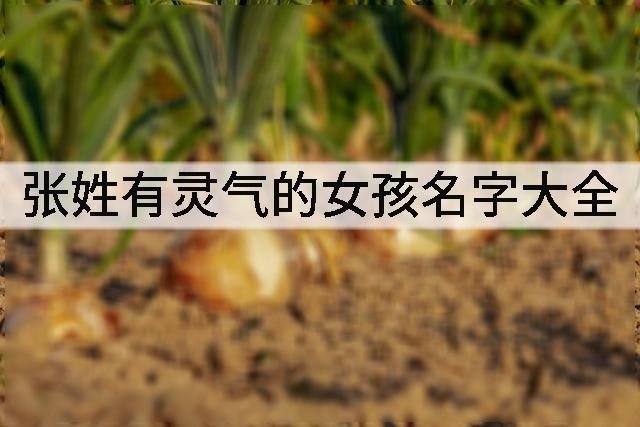张姓有灵气的女孩名字大全