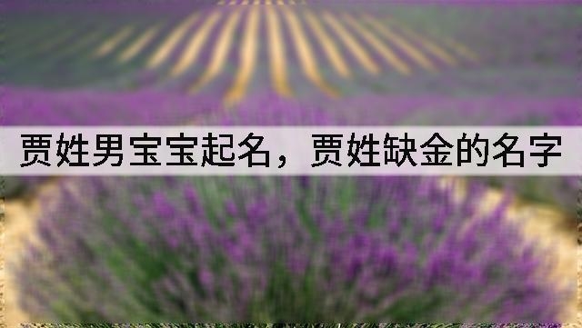 贾姓男宝宝起名,贾姓缺金的名字