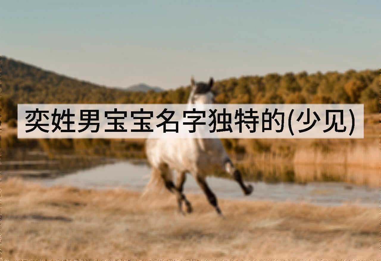 奕姓男宝宝名字独特的(少见)