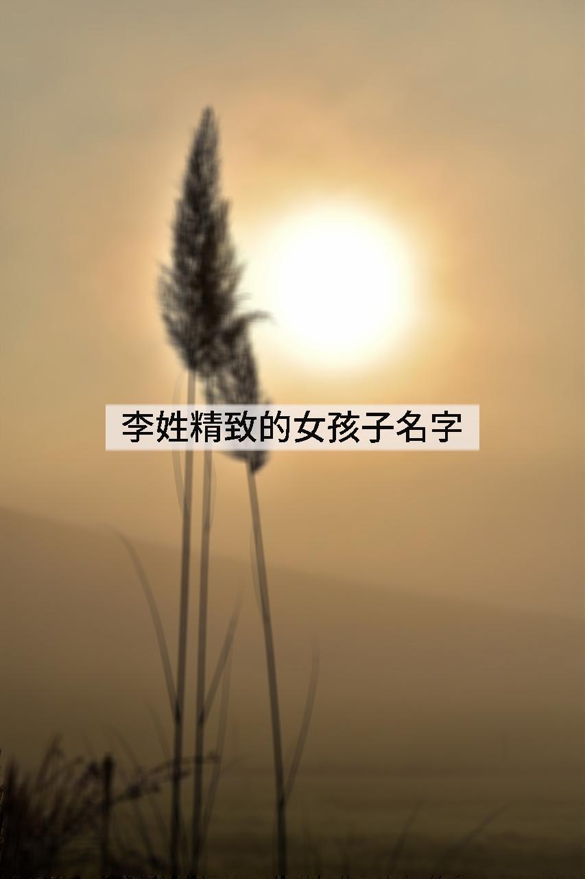 李姓精致的女孩子名字