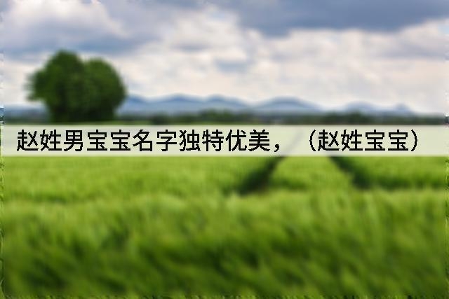 赵姓男宝宝名字独特优美,(赵姓宝宝)