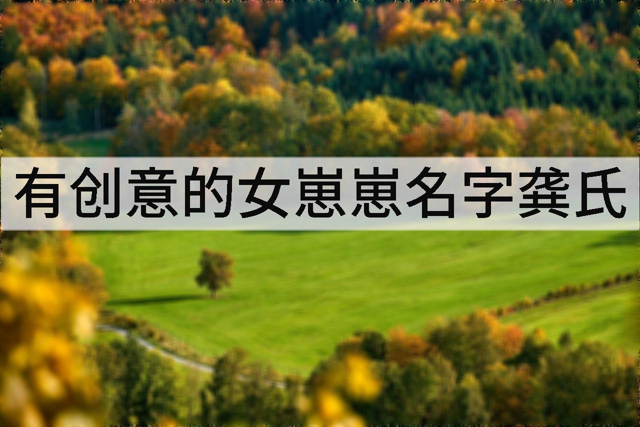 有创意的女崽崽名字龚氏