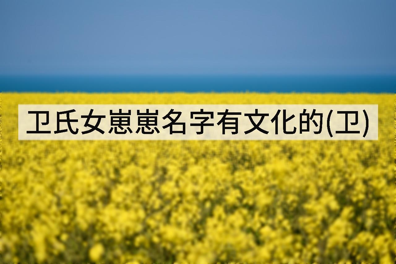 卫氏女崽崽名字有文化的(卫)