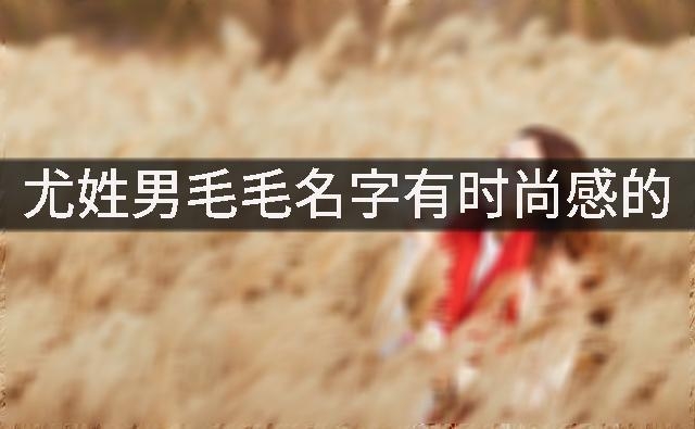 尤姓男毛毛名字有时尚感的