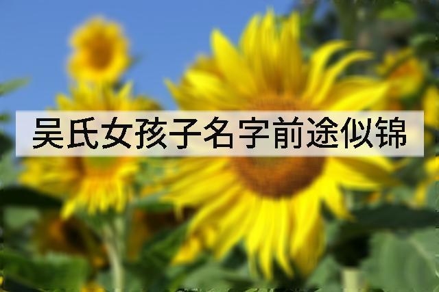 吴氏女孩子名字前途似锦