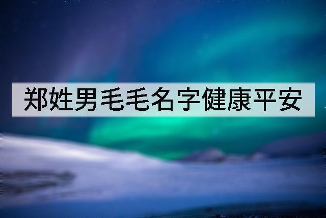 郑姓男毛毛名字健康平安