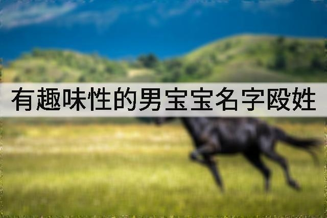 有趣味性的男宝宝名字殴姓