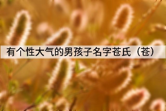 有个性大气的男孩子名字苍氏(苍)
