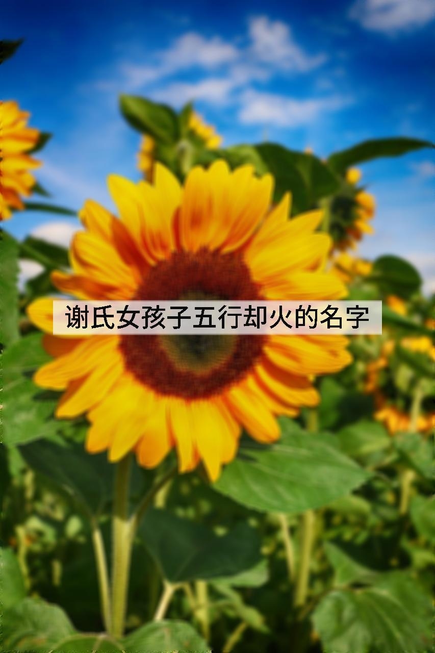 谢氏女孩子五行却火的名字