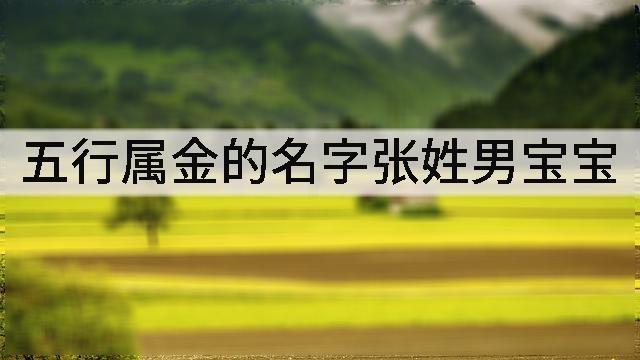 五行属金的名字张姓男宝宝