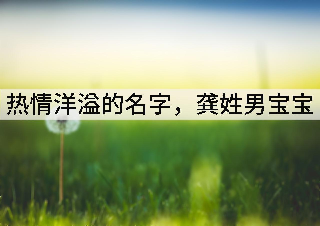 热情洋溢的名字,龚姓男宝宝